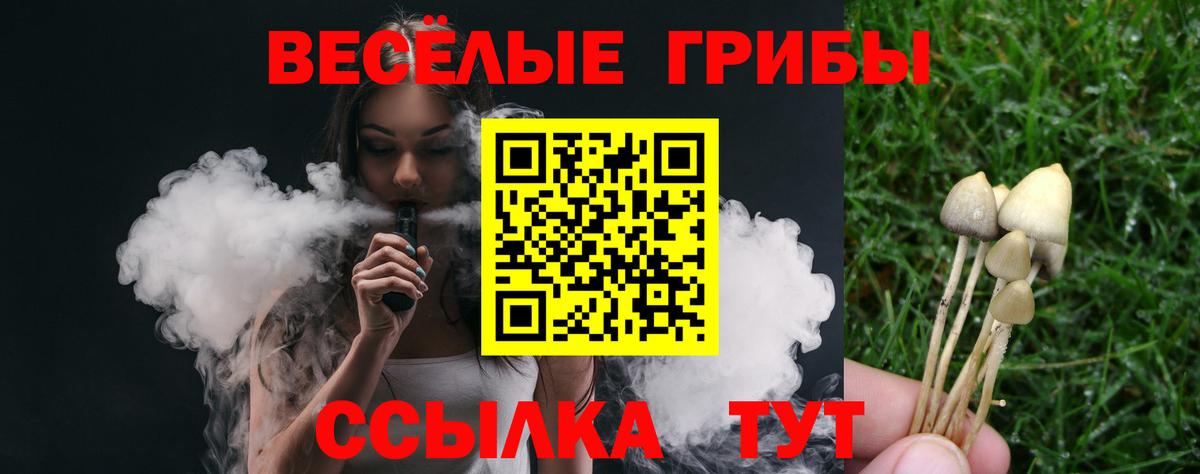 Галлюциногенные грибы Psilocybine cubensis Междуреченск