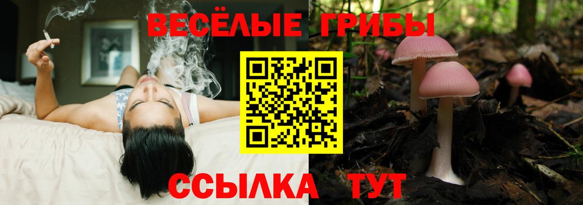 Галлюциногенные грибы Psilocybe  наркошоп  Галлюциногенные грибы мухоморы  Междуреченск  Вход с VPN 